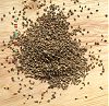 ajwain ajwain
