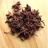 star anise star anise