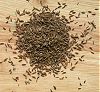 cumin seeds cumin seeds