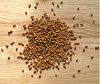 fenugreek seeds fenugreek seeds