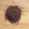 black mustard seeds black mustard seeds