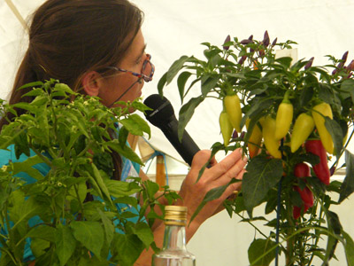 Joy Michaud of Peppers By Post